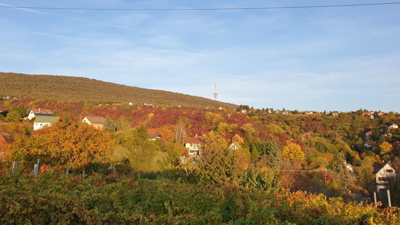 Hillside Cottage ペーチ エクステリア 写真