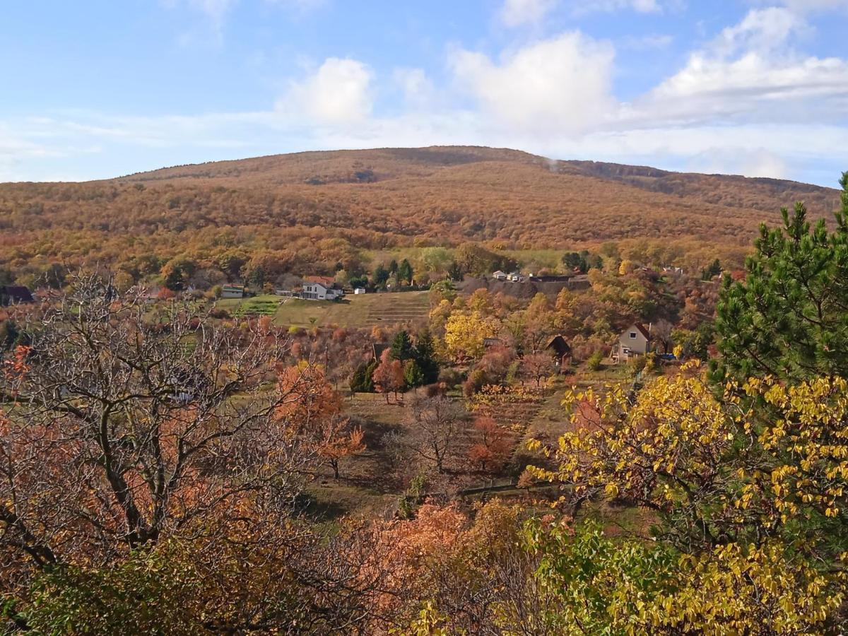 Hillside Cottage ペーチ エクステリア 写真