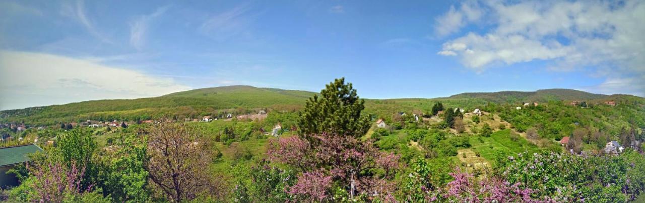 Hillside Cottage ペーチ エクステリア 写真